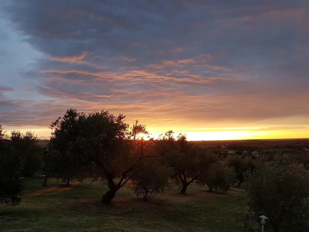 Villa Vinivo Rímini Italia